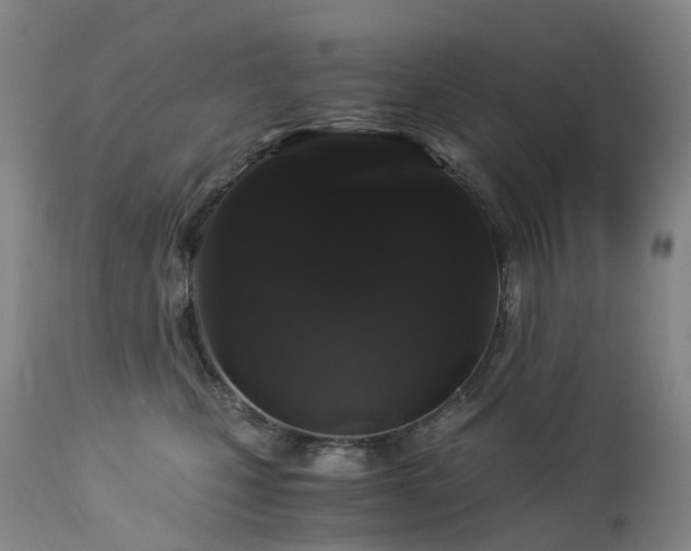 X0000112880471200908211455