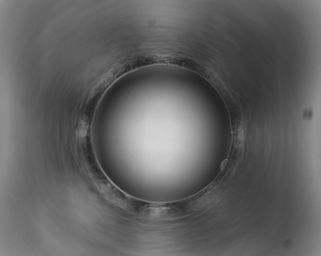 X0000112880472200908211455