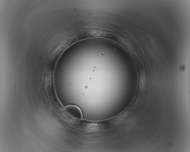 X0000112880473200908211455