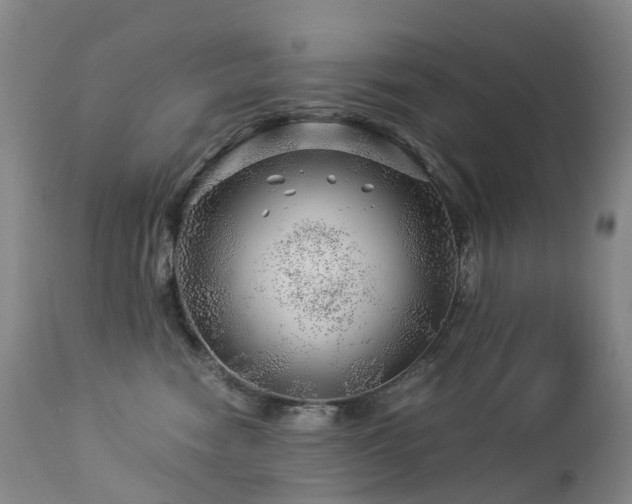 X0000112880474200908211455