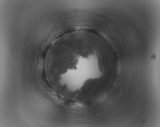 X0000112880475200908211455