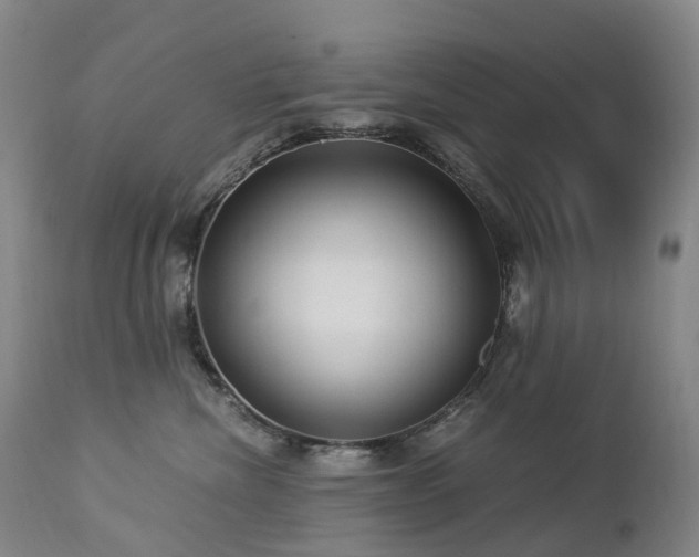 X0000112880476200908211455