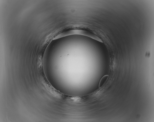 X0000112880478200908211456