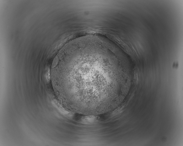 X0000112880479200908211456