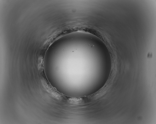 X0000112880480200908211456