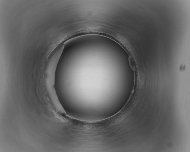 X0000112880481200908211455