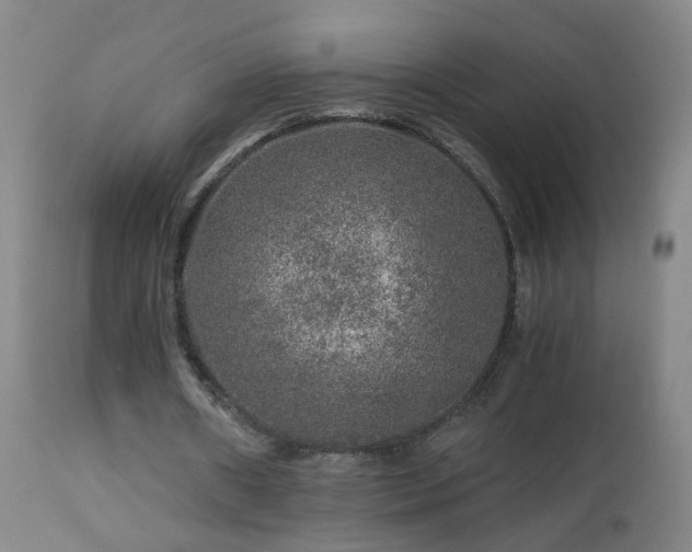 X0000112880482200908211455