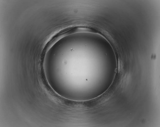 X0000112880483200908211455