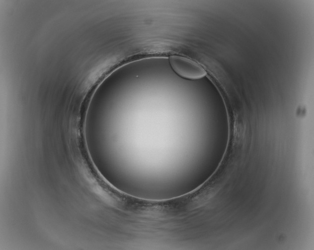 X0000112880485200908211455