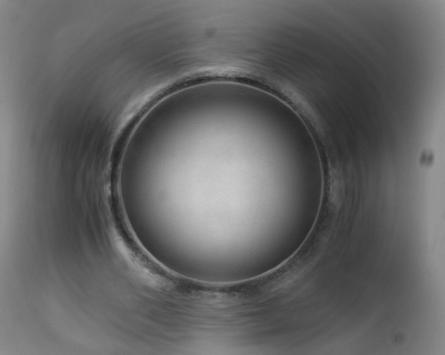 X0000112880486200908211455