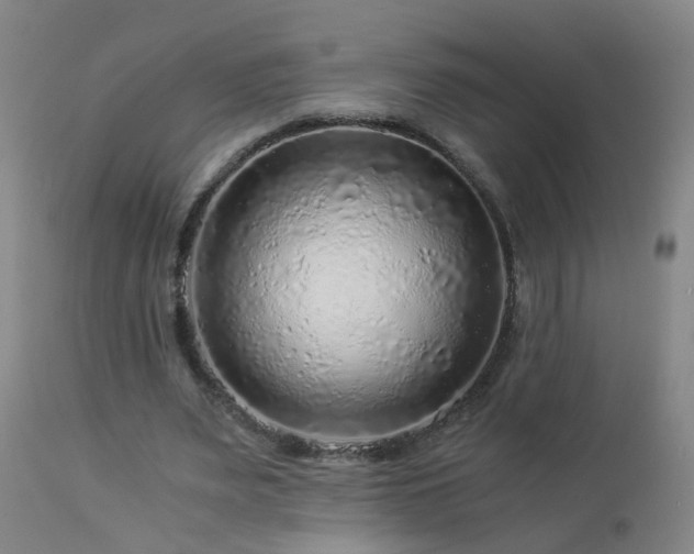 X0000112880487200908211455