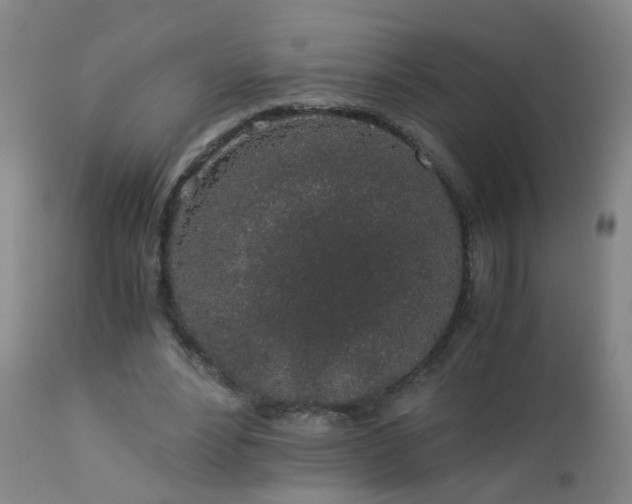 X0000112880488200908211455