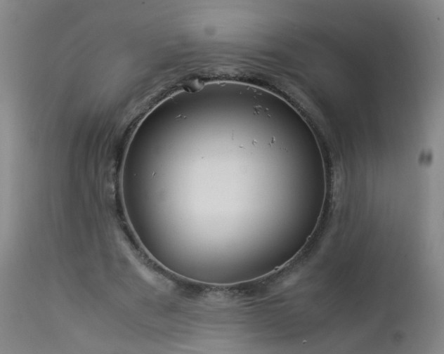 X0000112880489200908211455