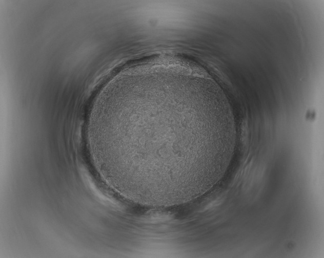 X0000112880491200908211455