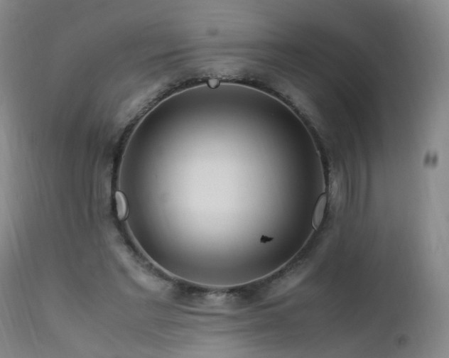 X0000112880493200908211455