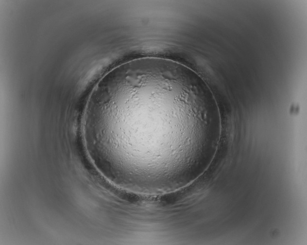 X0000112880495200908211455