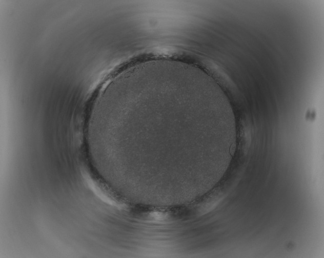 X0000112880496200908211455