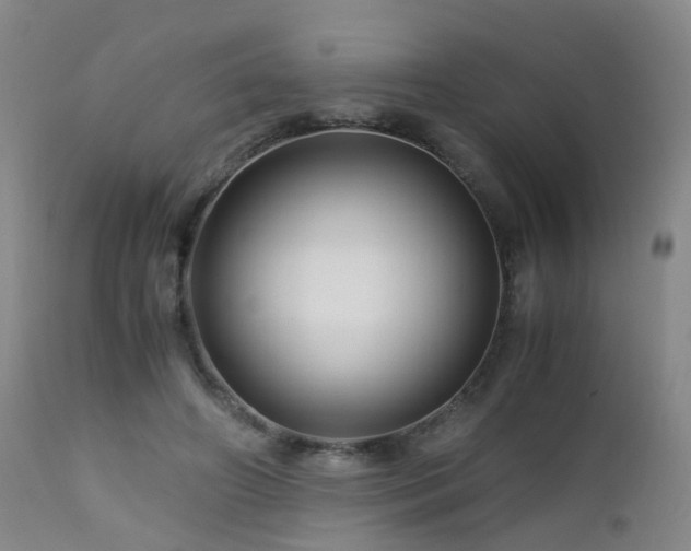 X0000112880498200908211455