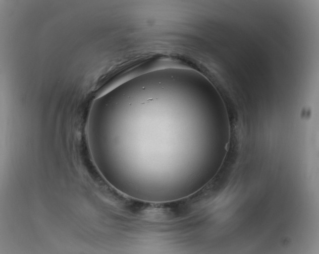 X0000112880499200908211455