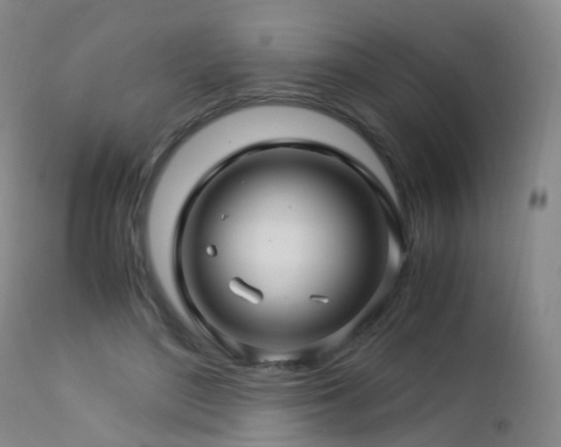 X0000112880500200908211455