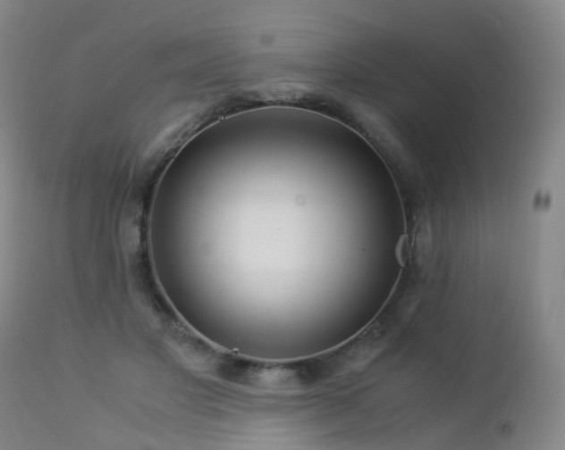 X0000112880501200908211455