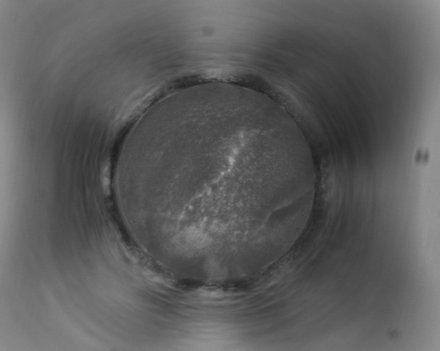 X0000112880502200908211455