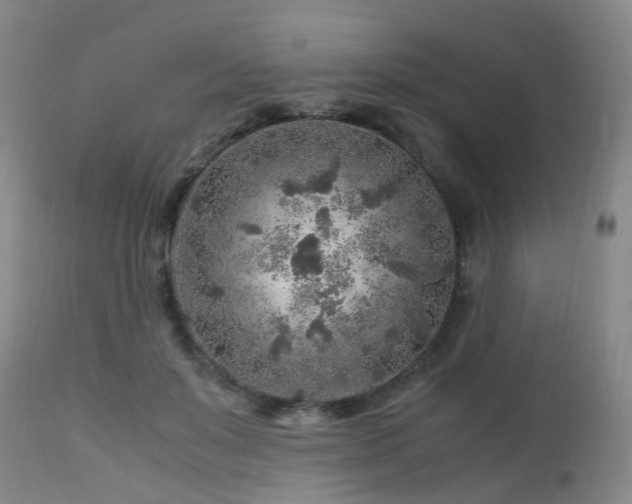 X0000112880503200908211455