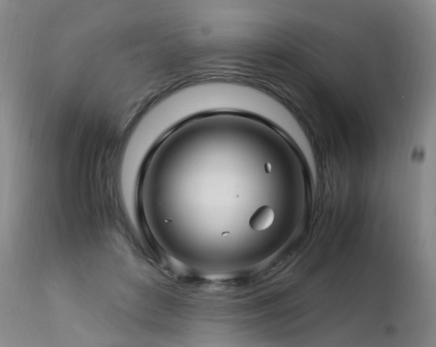 X0000112880504200908211455