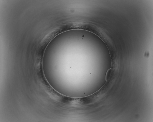 X0000112880505200908211455