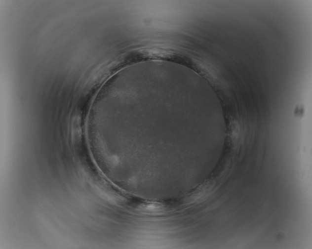 X0000112880506200908211455