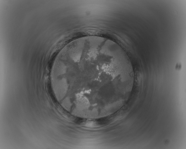 X0000112880507200908211454