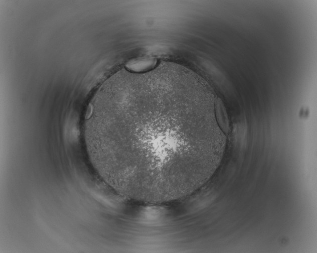 X0000112880508200908211454