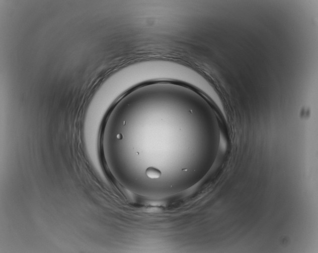 X0000112880509200908211454