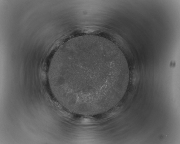 X0000112880510200908211454