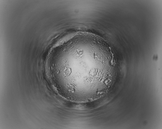 X0000112880511200908211454