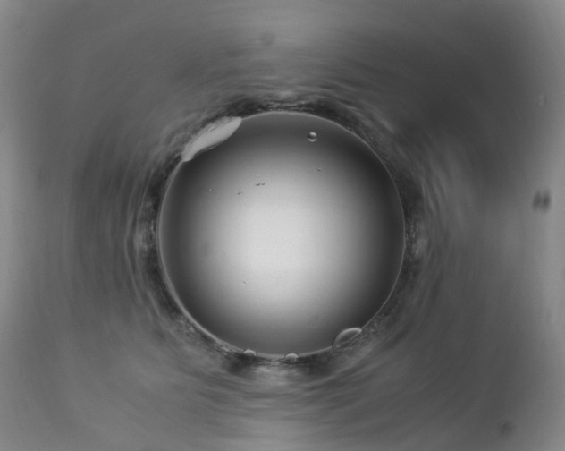 X0000112880515200908211454