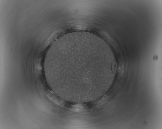 X0000112880516200908211454