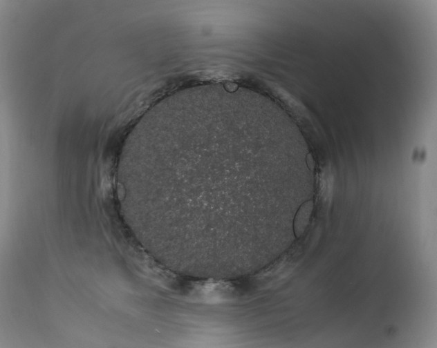 X0000112880517200908211454