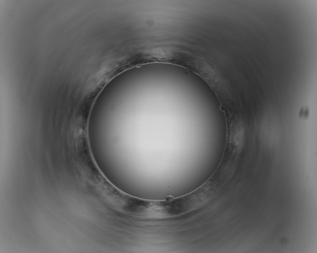 X0000112880518200908211454