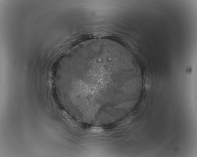 X0000112880519200908211454