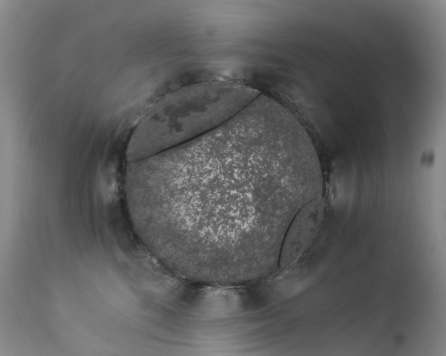 X0000112880520200908211454