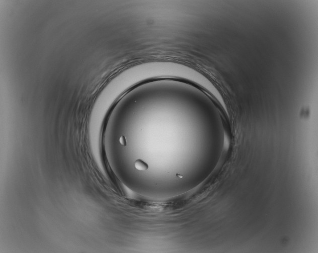 X0000112880521200908211454