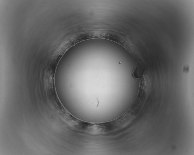 X0000112880522200908211454