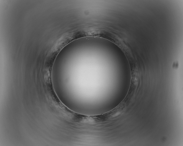 X0000112880523200908211454