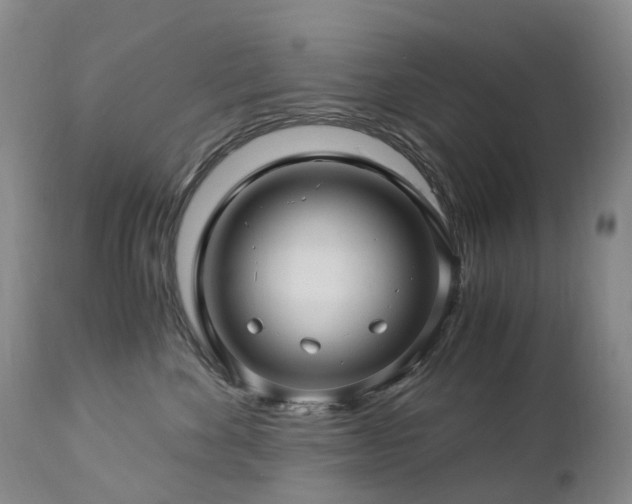 X0000112880524200908211454