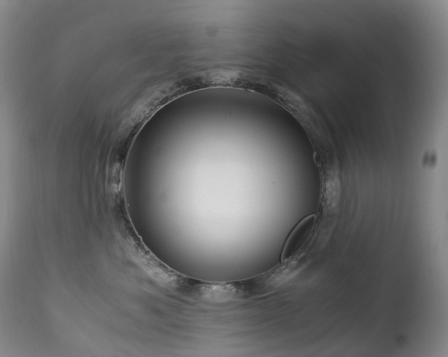 X0000112880525200908211454