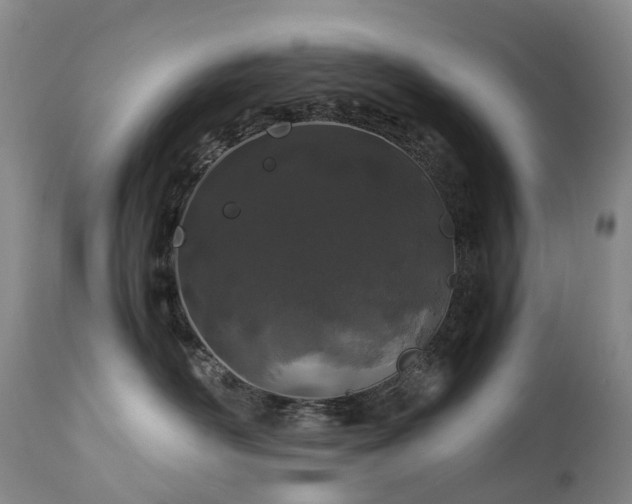 X0000112880526200908211454