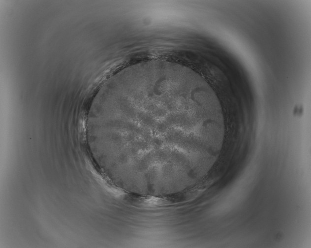 X0000112880527200908211454