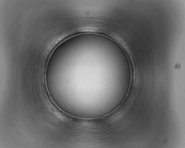 X0000112880529200908211453