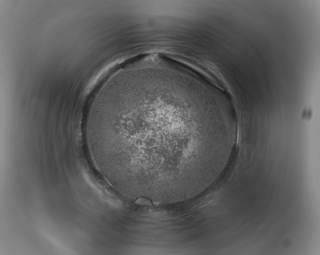 X0000112880531200908211453